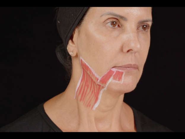 Lower Face Muscles